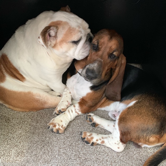 Meet your Posher, Betsy - Picture 8 of 8